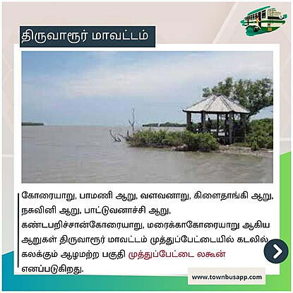 Muthupet Lagoon